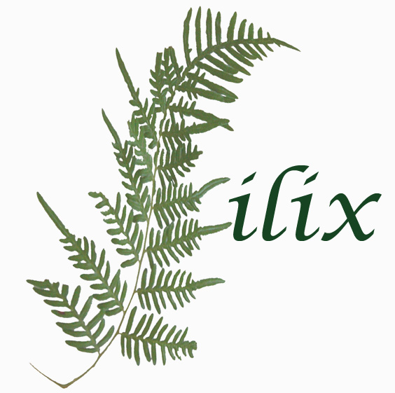 Filix Logo